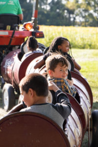 Boy riding in the barrel train at The Middletown Home Pumpkin Fest